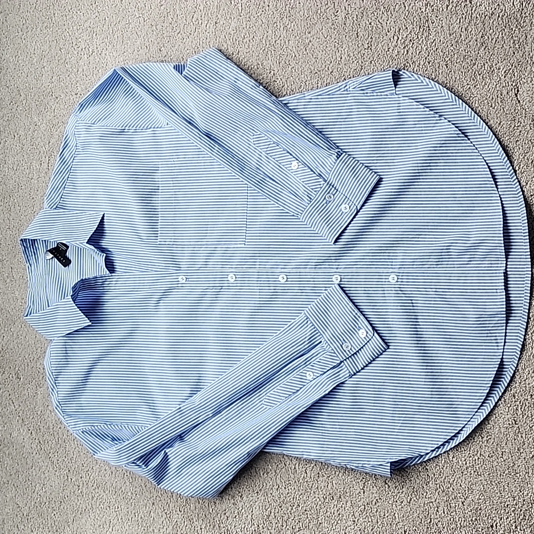 Sanctuary Button Down